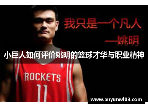 小巨人如何评价姚明的篮球才华与职业精神