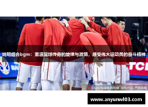 姚明组合bgm：重温篮球传奇的旋律与激情，感受伟大运动员的奋斗精神