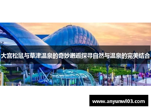 大宫松鼠与草津温泉的奇妙邂逅探寻自然与温泉的完美结合