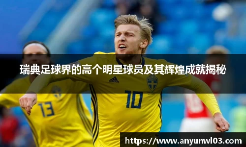 瑞典足球界的高个明星球员及其辉煌成就揭秘